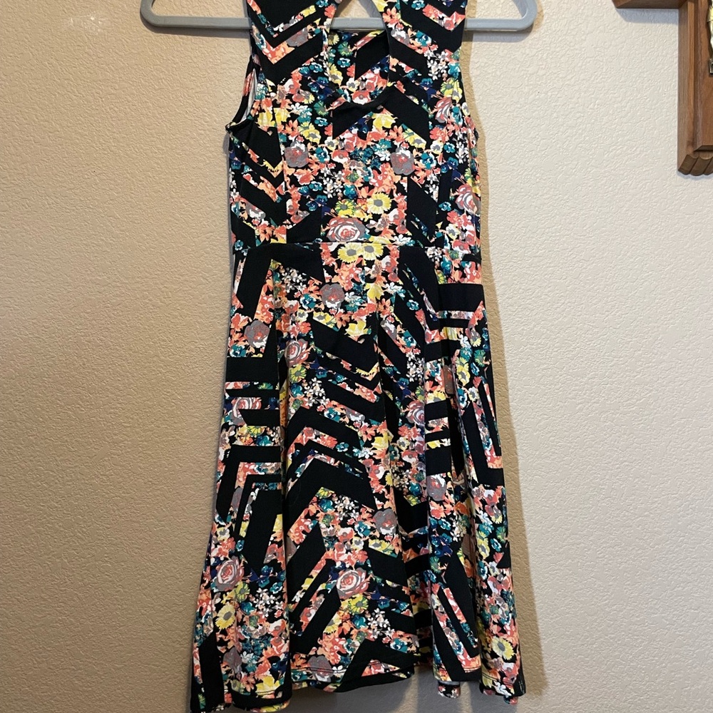 Floral Skater Dress